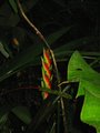Img_3075.jpg